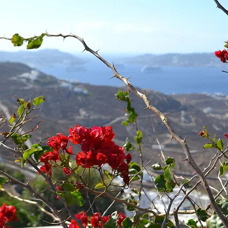 Hotell Mykonos Crystal