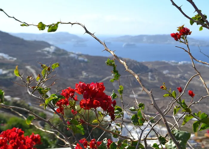 Ξενοδοχείο Mykonos Crystal